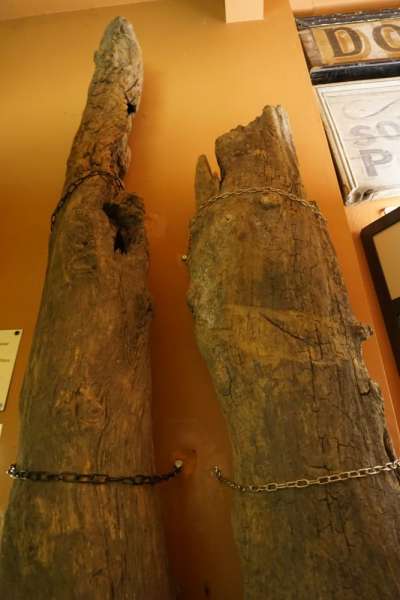 Tree-Trunk Water Pipes