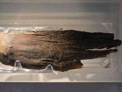 Mummified Hand