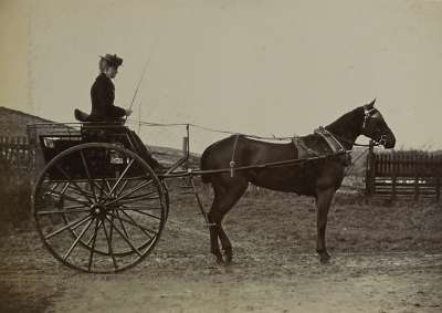 photograph of Alice Birch in a two wheeled cart