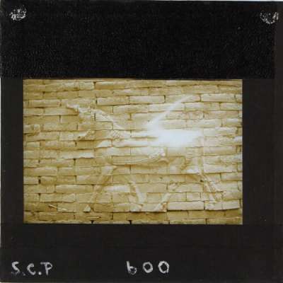 Lantern Slide: Bas-relief image of animal in wall
