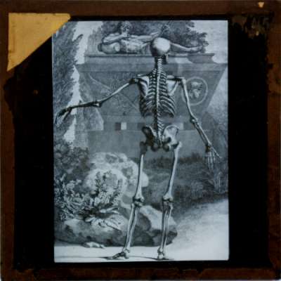 Lantern Slide: Skeleton standing in front of tomb
