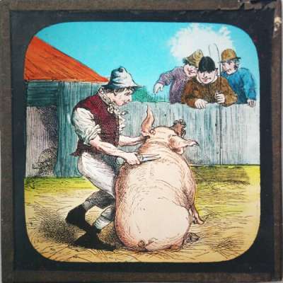 Lantern Slide: 'Great cry and little wool,' as the man said who clipped the sow