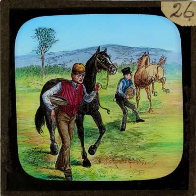 Lantern Slide: A horse which carries a halter is soon caught
