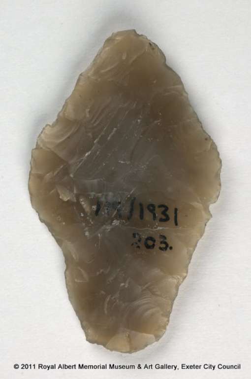 Leaf-shaped arrowhead