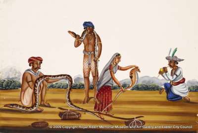 Snake charmers in India