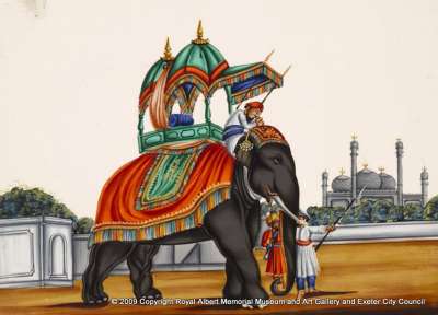 Elephant prepared for ride, India