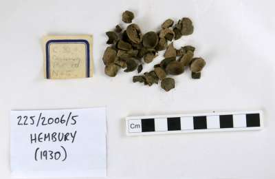Image from collection: Finds from Hembury