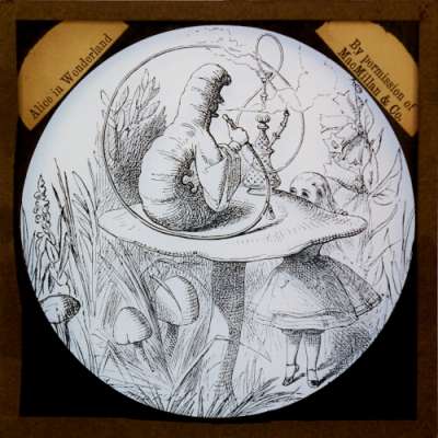 Lantern Slide: The caterpillar and Alice looked at each other for some time in silence