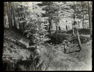 glass plate slide, main rampart and ditch