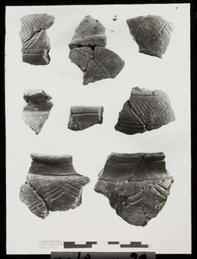 glass plate slide, prehistoric pottery sherds