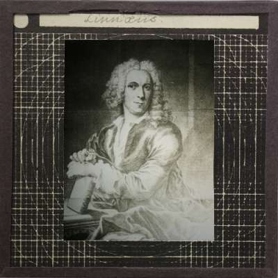 Lantern Slide: Linnaeus
