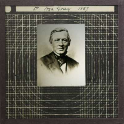 Lantern Slide: Dr Asa Gray 1867