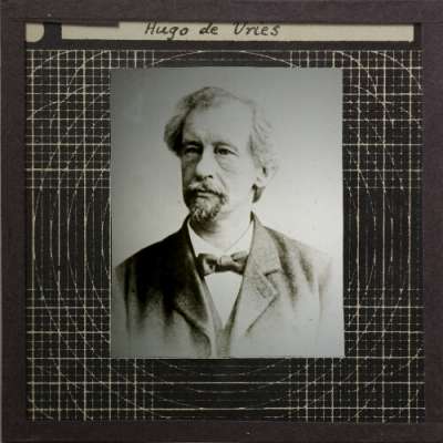 Lantern Slide: Hugo de Vries