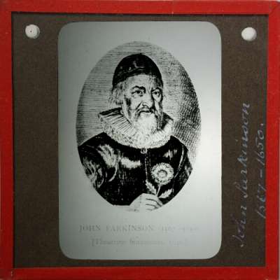 Lantern Slide: John Parkinson 1567-1650