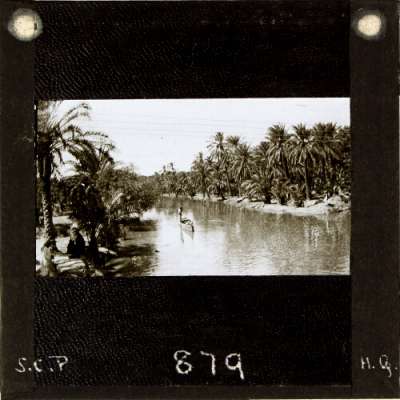 Lantern Slide: River scene with boat and palm trees