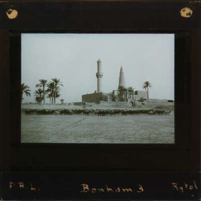 Lantern Slide: Mosque with flock of sheep in foreground