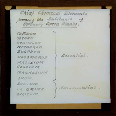 Lantern Slide: Chief Chemical Elements forming the Substance of Ordinary Green Plants