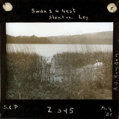 Lantern Slide: Swan's Nest, Slapton Ley