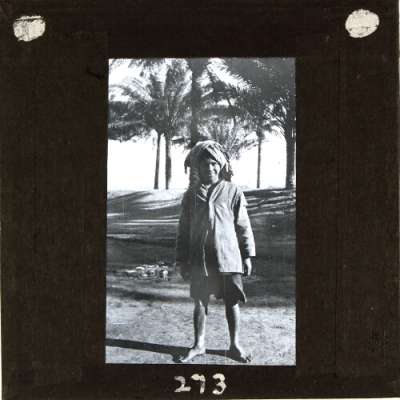 Lantern Slide: Local man standing in front of palm trees