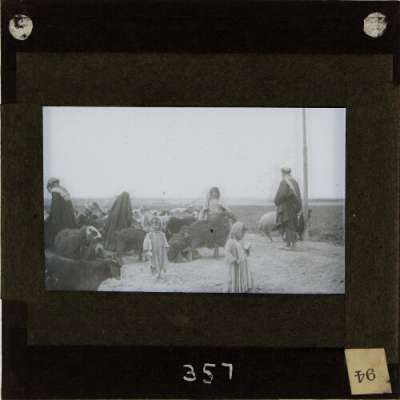 Lantern Slide: Group of people with sheep