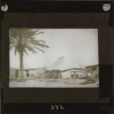 Lantern Slide: Tent and palm tree in camp