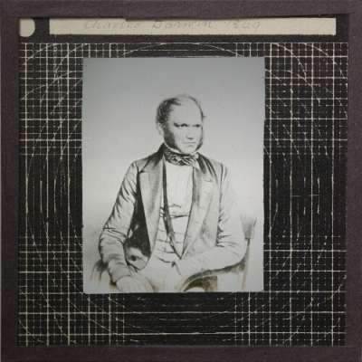 Lantern Slide: Charles Darwin 1849