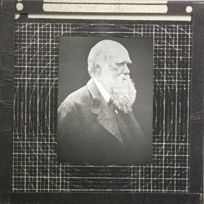 Lantern Slide: Portrait of Charles Darwin