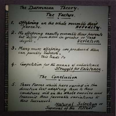 Lantern Slide: The Darwinian Theory