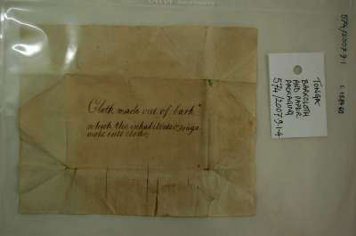 paper envelope for barkcloth samples