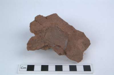 Image from collection: Otter Sandstone