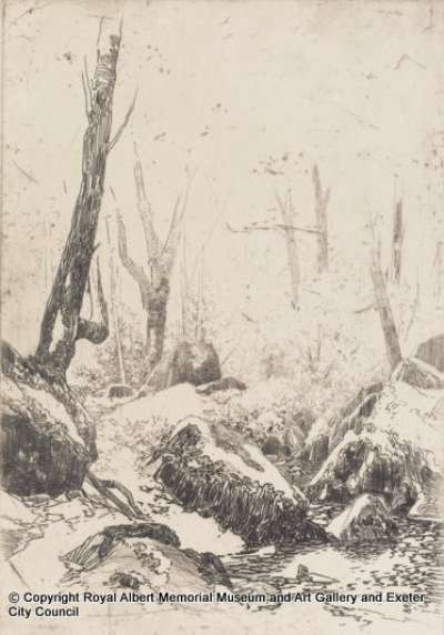 Woodland scene with river