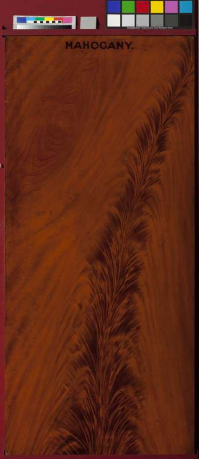 grained panel with feathered mahogany design
