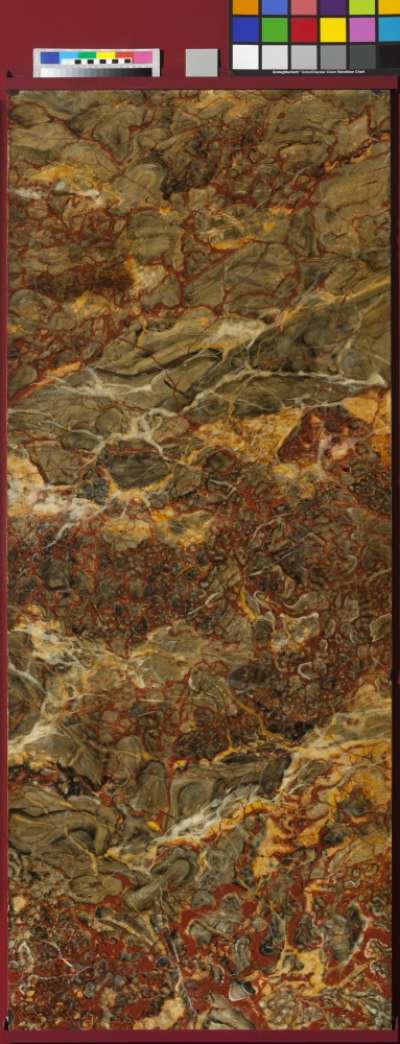 marbled panel depicting Ashburton marble